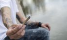 The majority of people took drugs as teenagers, writes Alex Bell