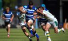 Josh Bayliss has been a standout performer for Bath this season.