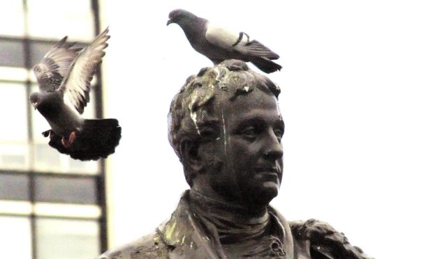 Ken says sometimes we are the statue, and other times we are the pigeon.