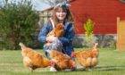 This week's winner, Neve Watson from Elgin, with the four family hens, from left, Bella, Pumpkin, Raquel and Neve is holding Henrietta.