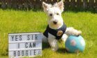 Scotland fan Cooper in Portlethen, where he lives with Nichola Greig.