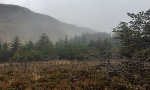 Scotland has lost much of its carbon-rich grasslands as a result of centuries of ever-intensifying agriculture