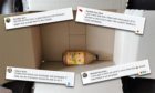 An outraged reader contacted us because he was sick of Amazon's excessive packaging. He's not the only one who is fed up...