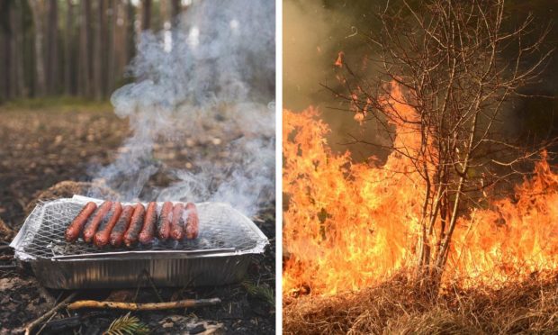 Disposable barbecues like these can result in major wildfires if they are not used responsibly.