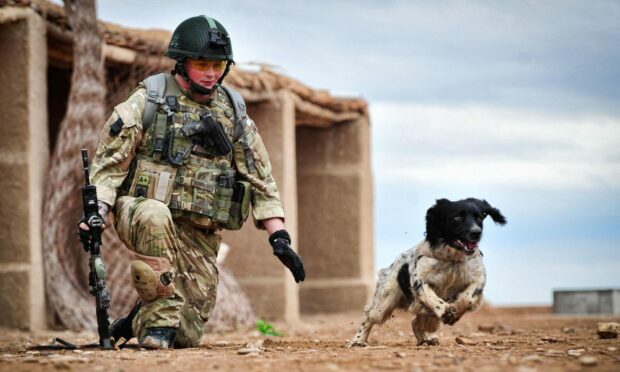 Liam Tasker with his military dog Theo
