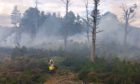 Wildfire damage in woodland near Loch Morlich, after a preventable fire raged out of control (Photo: Jamie Stewart/Forestry and Land Scotland)