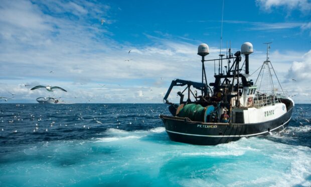 The Scottish fishing fleet may be facing more quota cut woes.