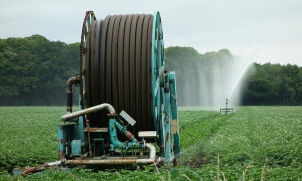 SEPA is urging growers to check their irrigation equipment is not leaking.