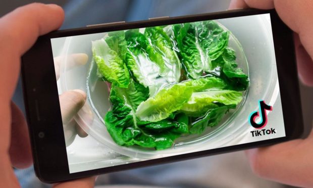 A phone screen showing a mug of lettuce tea