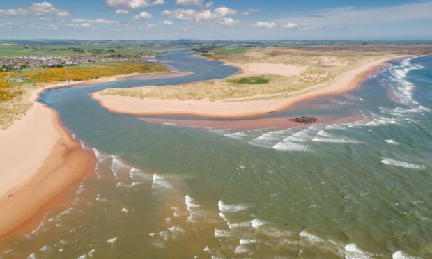 Newburgh and Foveran Fishings.