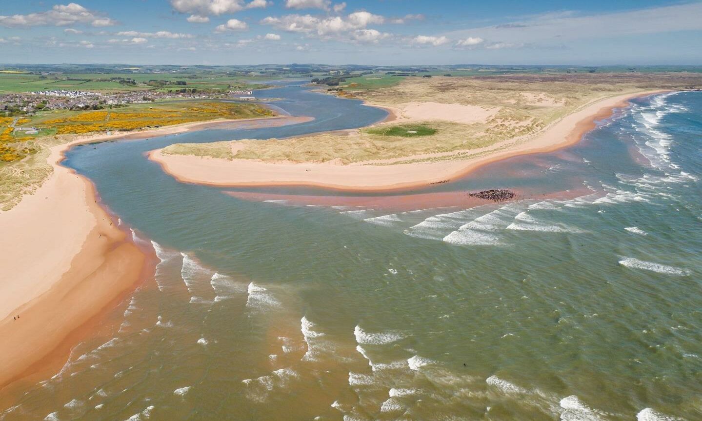 £500k sea trout fishing rights up for sale in Newburgh