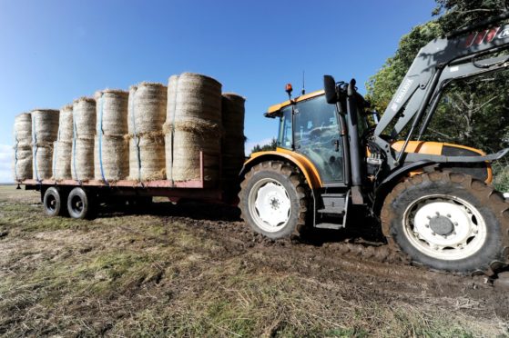 Forage Aid warns supplies of straw could be short this year.
