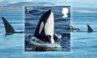 A new stamp collection from the Royal Mail features this stunning image of an orca photographed near Shetland.