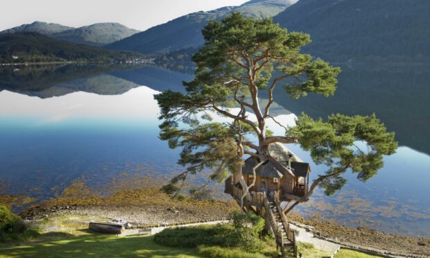 The Treehouse at the Lodge overlooking a calm Loch Goil