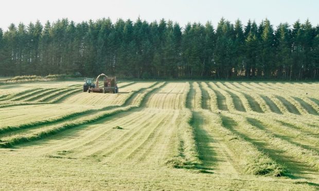 NFU Scotland says its paper is a framework for future agricultural policy in Scotland.