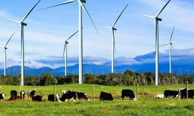 The Inquiry wants the Scottish Government to establish whole farm contracts to deliver on farming and nature from 2024.