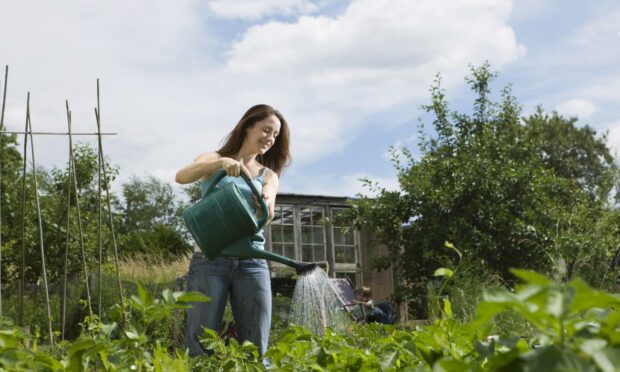 15 year wait for an allotment in Inverness.