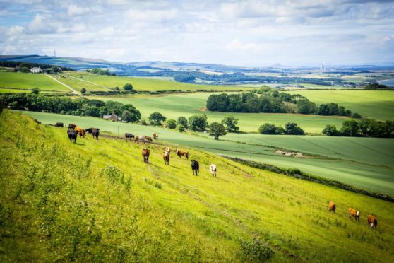 The Farming For 1.5 Degrees inquiry published its recommendations earlier this week.