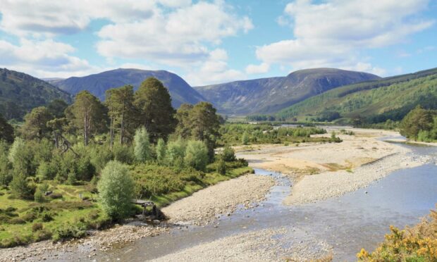Glen Feshie's landscape has been transformed over the last 17 years