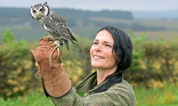 Gayle meets Lana the white-faced scops owl.