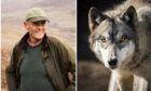 Paul Lister, the owner of Alladale Wilderness Reserve in Sutherland, plans to reintroduce wolves to Scotland.