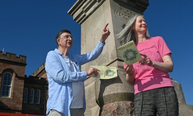 A new walking tour introduces tourists and locals alike to hidden animals that highlight the history on display in downtown Inverness.
