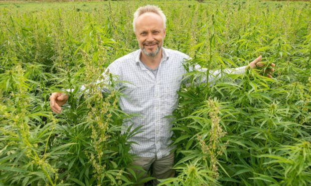 Robert Ramsey is one of 10 Scottish growers taking part in the hemp trial.