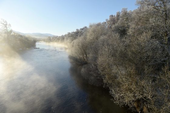 The River Spey at Boat of Garten. Picture by Sandy McCook