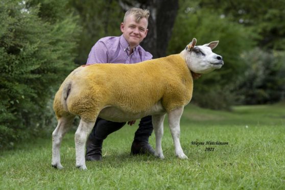Beltex gimmer Buckles Frisky set a new breed record when she sold for 15,000gn.
