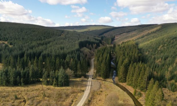 Aberdeen researchers to join partners to look at impact of trees on people and the world.