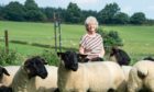 Irene Fowlie has exported some of the sheep from her Essie flock, now in its 40th year, to Georgia.