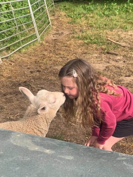 Anne McKenzie sent in this picture of Lea Gullan, five, meeting the lambs at Anne’s farm, Chapel of Seggat, at Auchterless