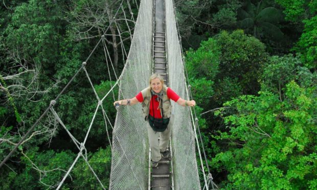 Meg Lowman has pioneered the use of creating canopy walkways to study treetops across the world.