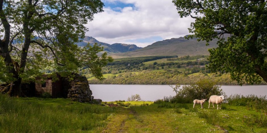 Loch Tay in the Perthshire. How Airbnb is helping tourism recovery in Scotland.