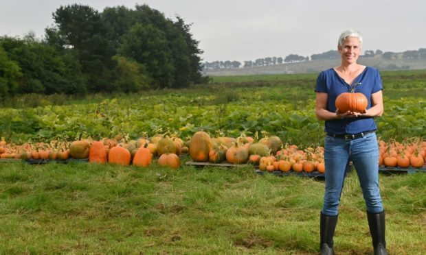 Udny Pumpkins are celebrating a successful growing season.