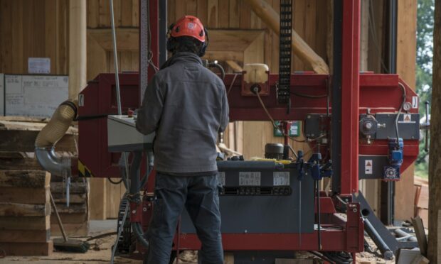 A member of staff at work at the sawmill.