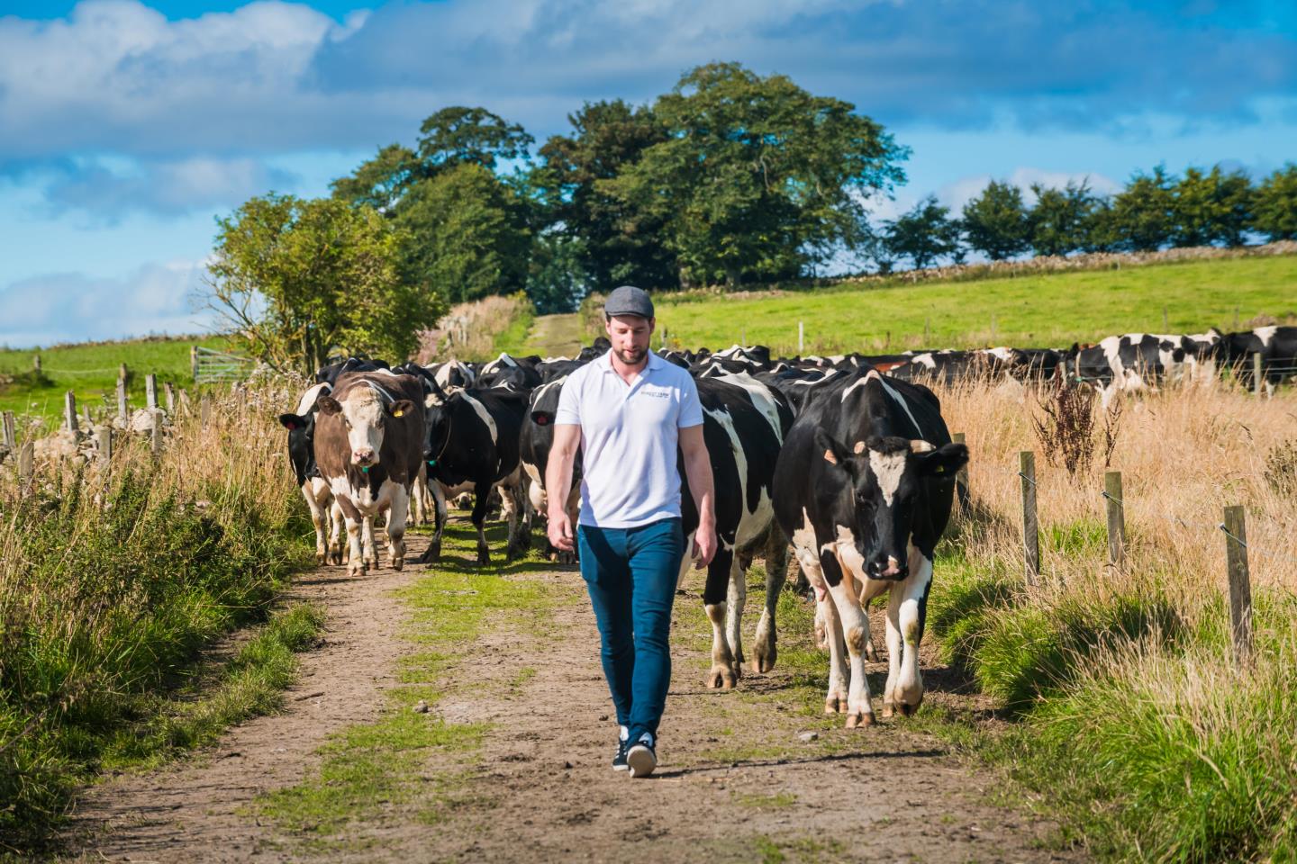 Food festival in Aberdeen offers chance to visit Forest Farm Dairy