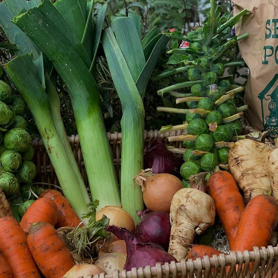 Locally grown veg in the North East of Scotland