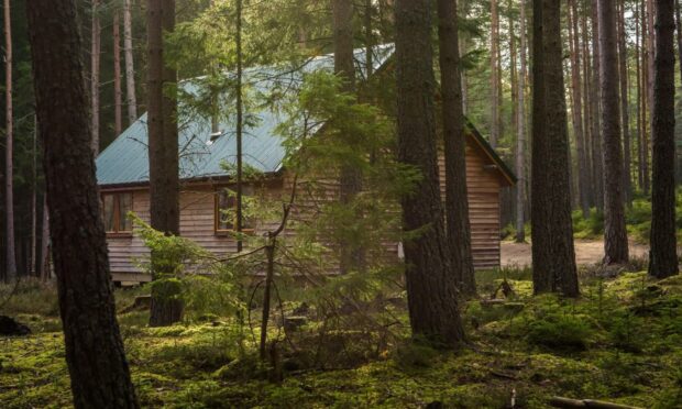 Cairngorm Lodges has been selected as part of Scottish Enterprise's Unlocking Ambition programme for 2021/22.