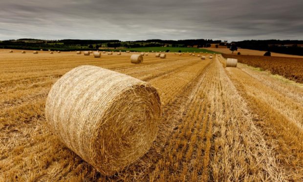 Galbraith partner Tom Stewart will discuss the farmland market in Scotland.