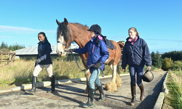 Gayle leads retired police horse Lauder flanked by Yola Brunier and Mel Foley. Picture: Jason Hedges.