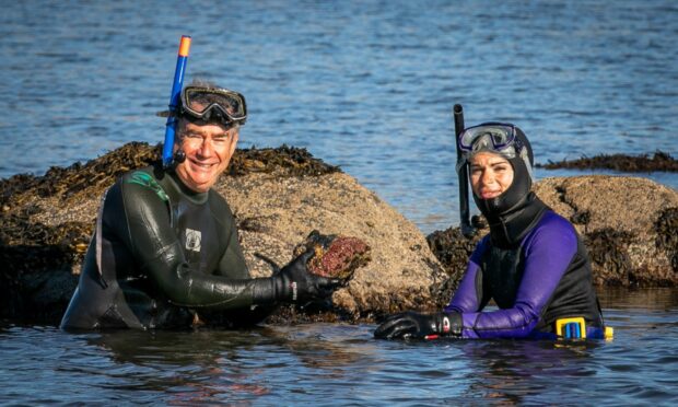 Keith Broomfield and Gayle Ritchie go snorkelling in the East Neuk. Picture: Steve Brown.