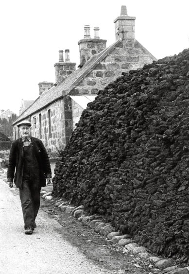 1964: William Calder, of Moss Grieve of Lyne of Skene Peat Moss, supervises the cuttings.