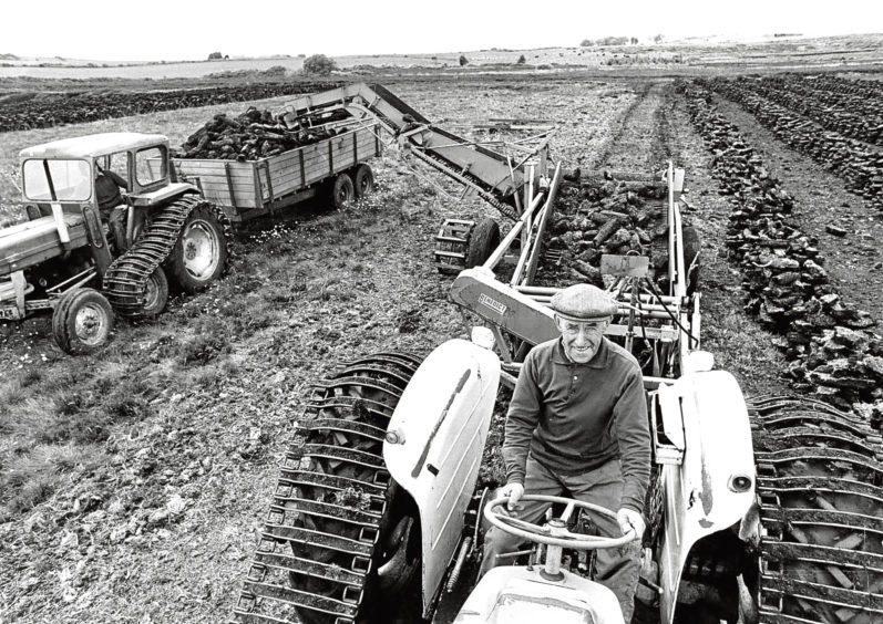 1977: Alex Wiseley gathers peat, which will be burned to flavour malted barley to make whisky.