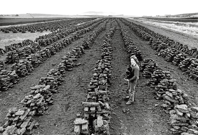 1977: Gordon Milne dries out some peat stacks.