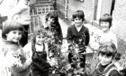 1981: The children picking flowers are Ann Campbell, 5, Mark Cruickshank, 11, Mary Bovey, 9, Janet Bovey, 10, Stephen Anderson, 11, Deborah Adamson, 10, and Alison Bovey, 9.