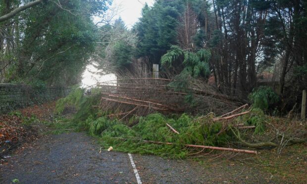 Another storm is forecast for Tuesday - just 11 days after Storm Arwen caused disruption and damage across the north-east