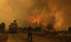 A man down a road in the fire-devastating Sirtkoy village, near Manavgat, Antalya, Turkey, Sunday, Aug. 1, 2021. More than 100 wildfires have been brought under control in Turkey, according to officials. The forestry minister tweeted that five fires are continuing in the tourist destinations of Antalya and Mugla. (AP Photo)