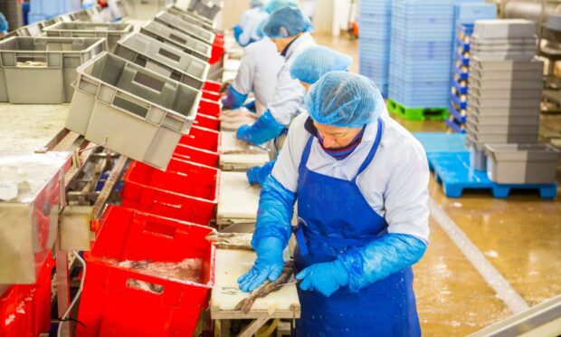 The seafood processing sector will be helped to train its workforce under the new programme.