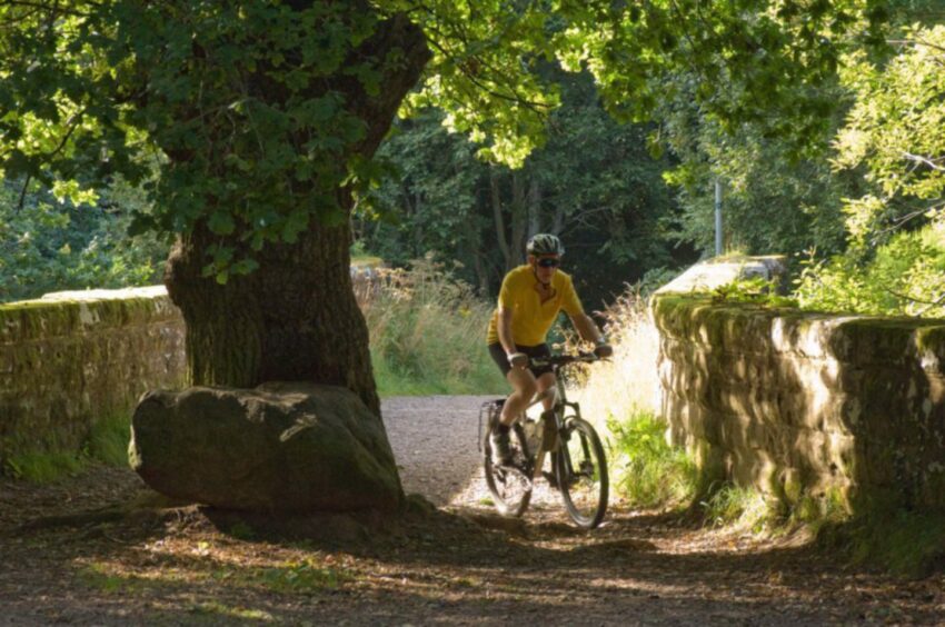 A cyclist cycling in Culloden Wood, Inverness.